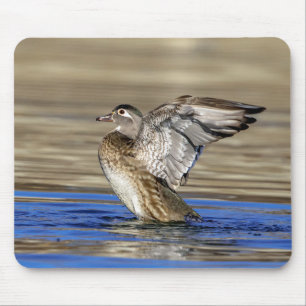 Wood Duck flapping her wings Mouse Pad