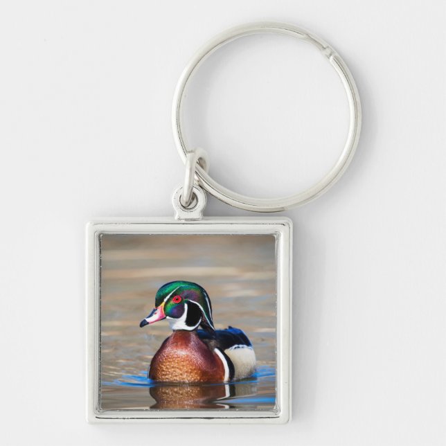 Wood Duck in a pond Key Ring (Front)