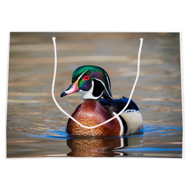 Wood Duck in a pond Large Gift Bag (Front)