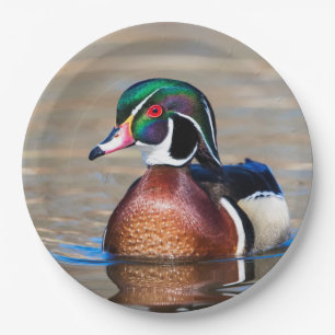 Wood Duck in a pond Paper Plate