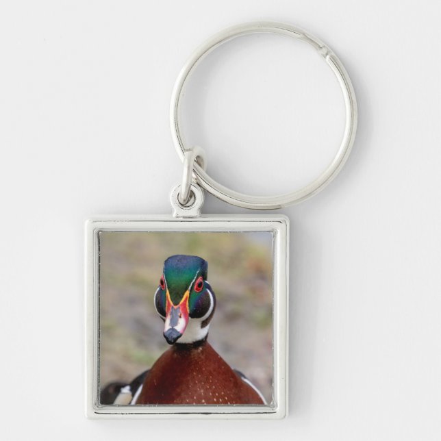 Wood Duck Key Ring (Front)