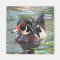 Wood Duck Magnet