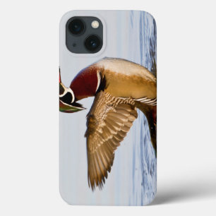 Wood Duck male flapping wings in wetland iPhone 13 Case