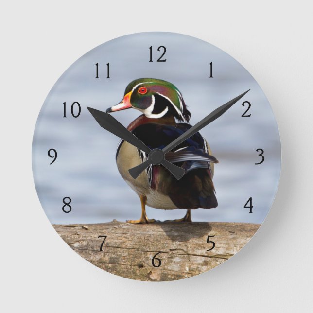 Wood Duck male on log in wetland Round Clock (Front)