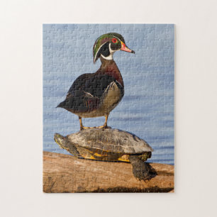 Wood Duck male standing on Red-eared Slider Jigsaw Puzzle