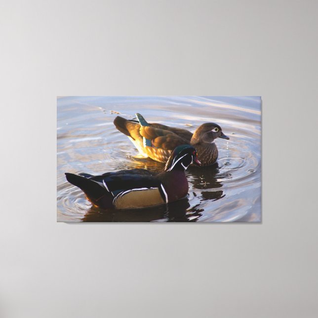 Wood Duck Mates Stretched Canvas Art Print (Front)