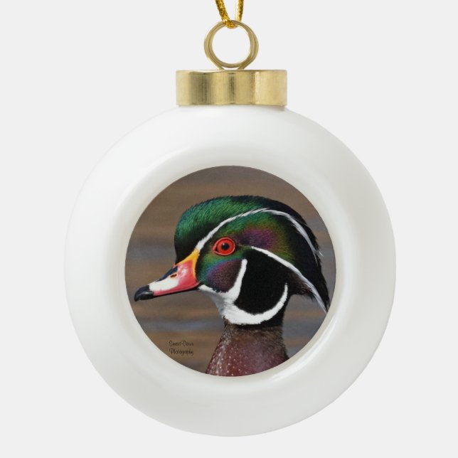 Wood Duck Metal Ornament (Front)