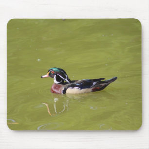 Wood duck mouse pad