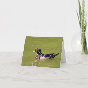 Wood duck note card