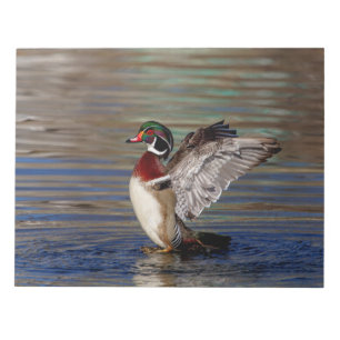Wood Duck Notepad
