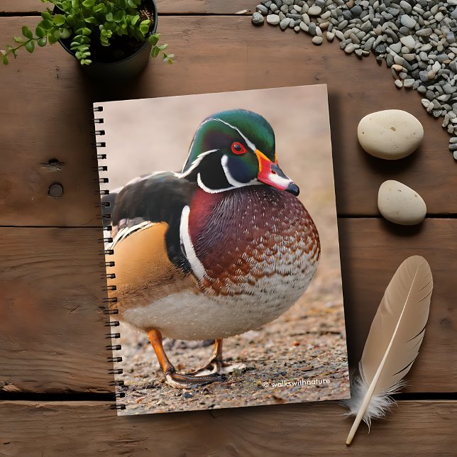 Wood Duck on Gravel Notebook (Wood Duck on Gravel Journal Cover Photo)