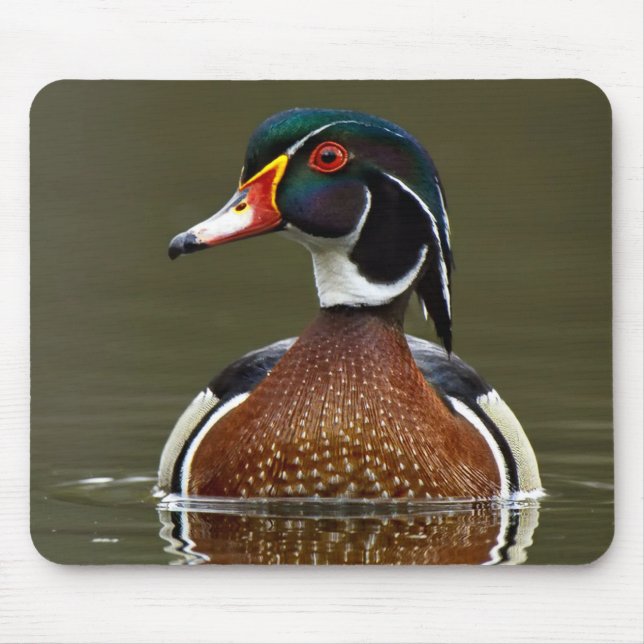 Wood Duck on Water Mouse Pad (Front)