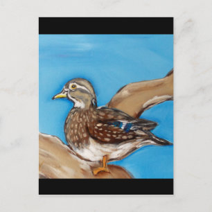 WOOD DUCK POSTCARD