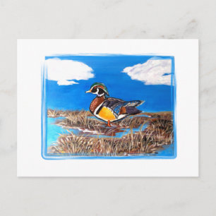 WOOD DUCK POSTCARD