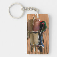 Wood duck swimming in water