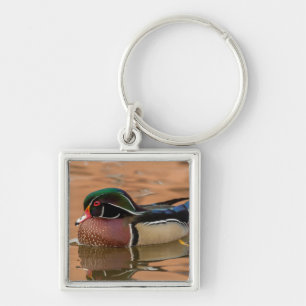 Wood duck swimming in water key ring