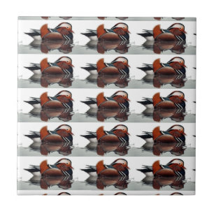 Wood Duck Thunder_Cove Tile
