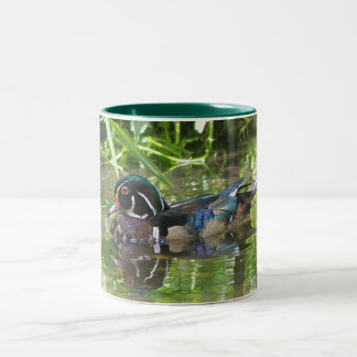 wood duck Two-Tone coffee mug