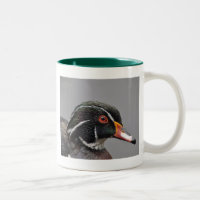 Wood Duck Two-Tone Mug Green
