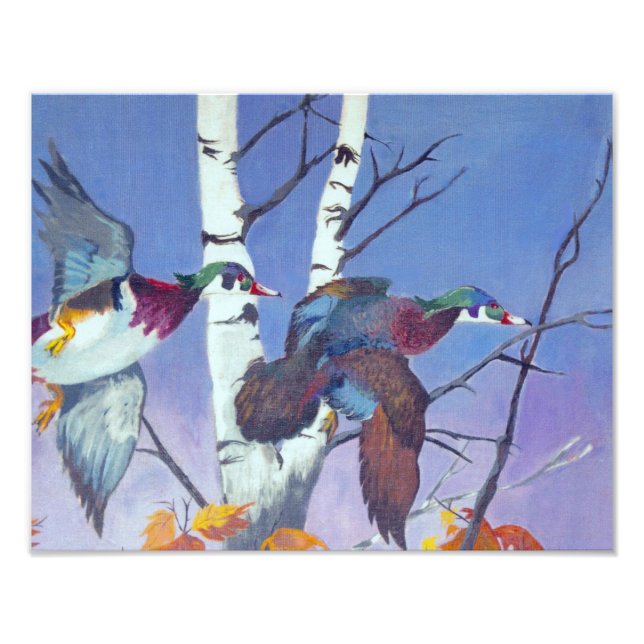 Wood Ducks Flying Photo Print (Front)