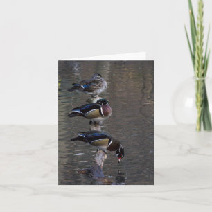 Wood Ducks on Branch Card