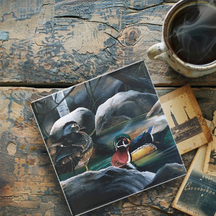Wood Ducks Pond Glass Coaster