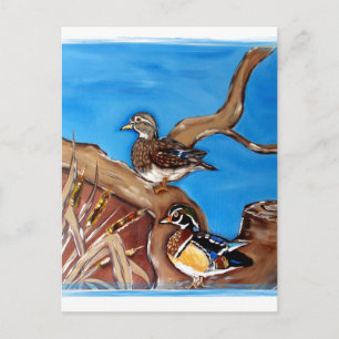 WOOD DUCKS POSTCARD