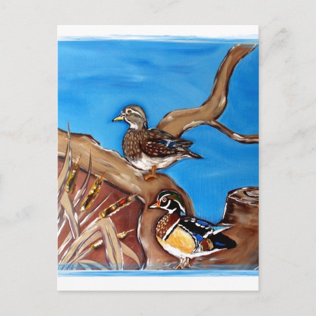 WOOD DUCKS POSTCARD (Front)