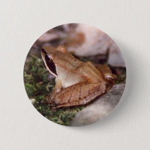 Wood Frog 6 Cm Round Badge