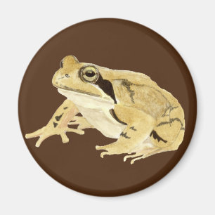 Wood Frog Magnet