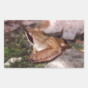 Wood Frog Rectangular Sticker