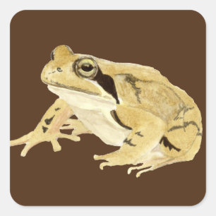 Wood Frog Square Sticker