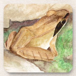 Wood Frog Watercolor Coaster