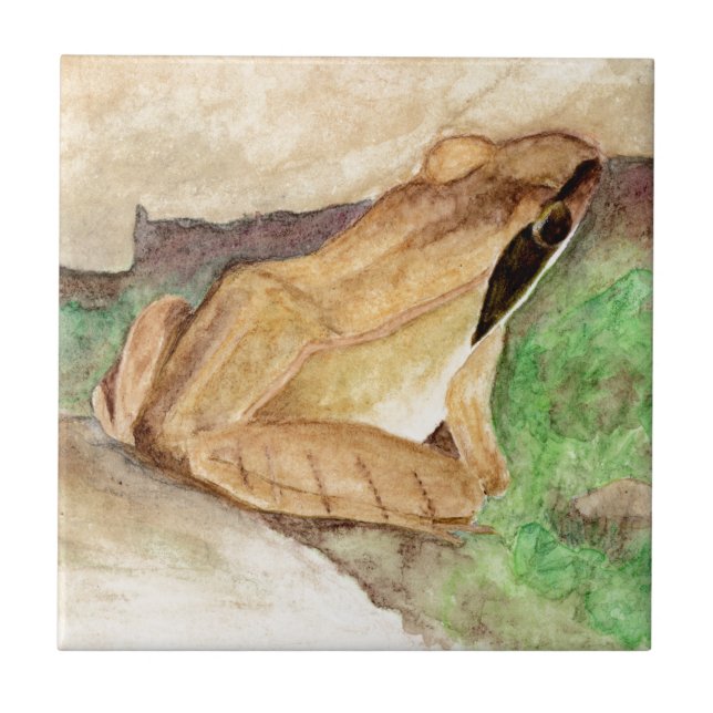Wood Frog Watercolor Tile (Front)