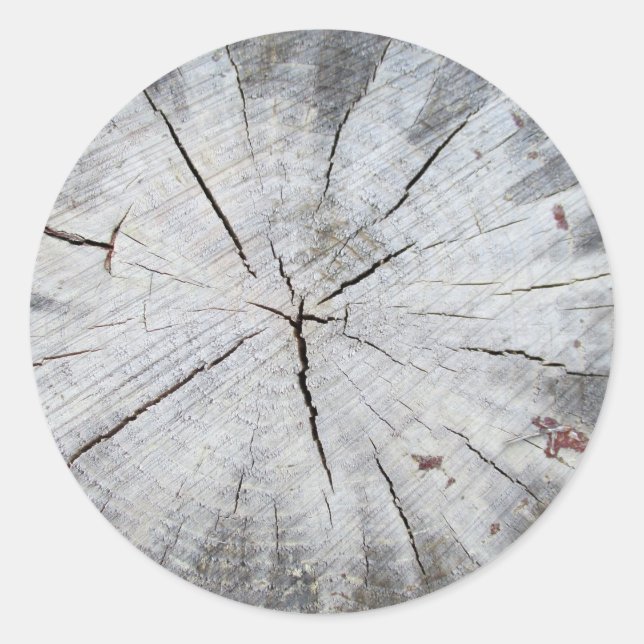 Wood Grain Grey Pine Tree Stump Photo Art 1 Classic Round Sticker (Front)