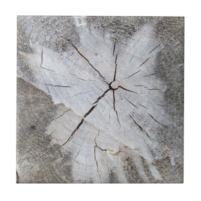 Wood Grain Grey Pine Tree Stump Photo Art 2 Tile (Front)