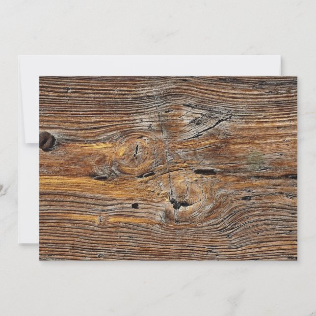 Wood grain, sheet of weathered timber (Front)