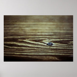 Wood Grain Texture by Shirley Taylor Poster