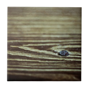 Wood Grain Texture by Shirley Taylor Tile