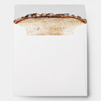 Wood grain tree ring lining Custom address