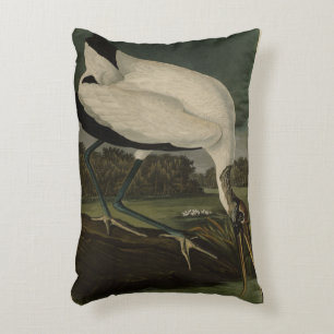Wood Ibiss (Ibis, Stork): Audubon Birds of America Decorative Cushion