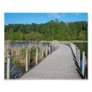 Wood Lake Park Boardwalk and Scenic Photo Print