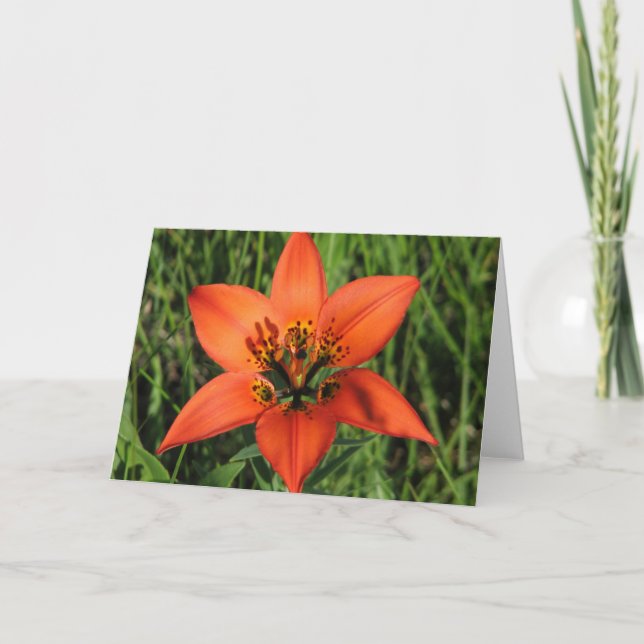 Wood Lily Note Card (Front)