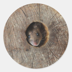 Wood Mouse Classic Round Sticker