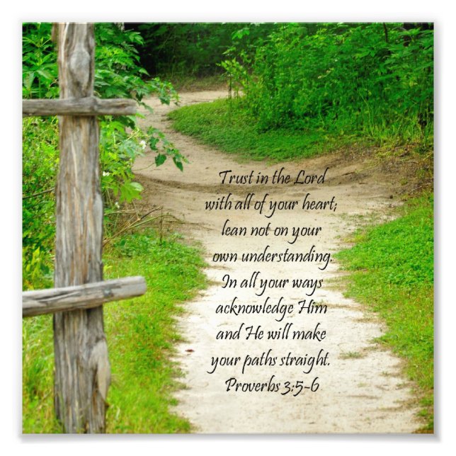 Wood Path Proverbs 3:5-6 Bible Verse Photo Print (Front)