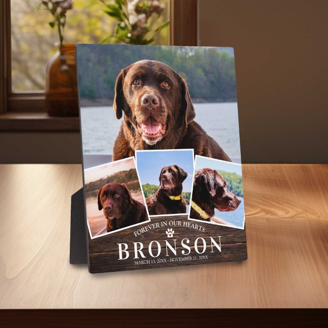 Wood Pet Memorial 4 Picture Collage Plaque (Creator Uploaded)