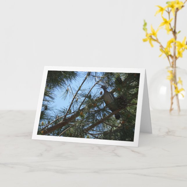 Wood Pigeon in Pine Tree Card (Yellow Flower)