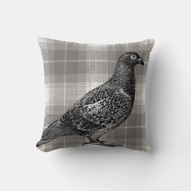 Wood pigeon, on grey check cushion (Front)