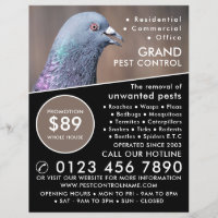 Wood Pigeon, Pest Control Advertising