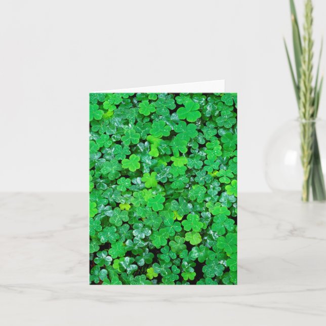 Wood Sorrel In Spring Note Card (Front)